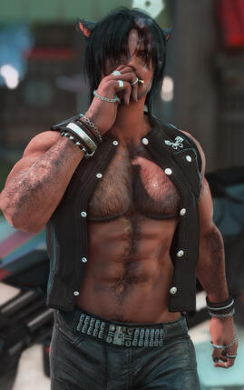 The Biker